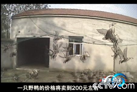 虚假驯养场
