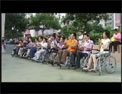 中华残疾人服务网