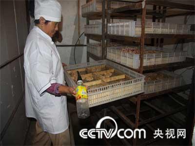 泰丰肉鸽养殖专业合作社_CCTV.com_中国中央