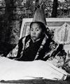 十四世达赖喇嘛坐床典礼像